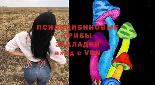 бошки Баксан